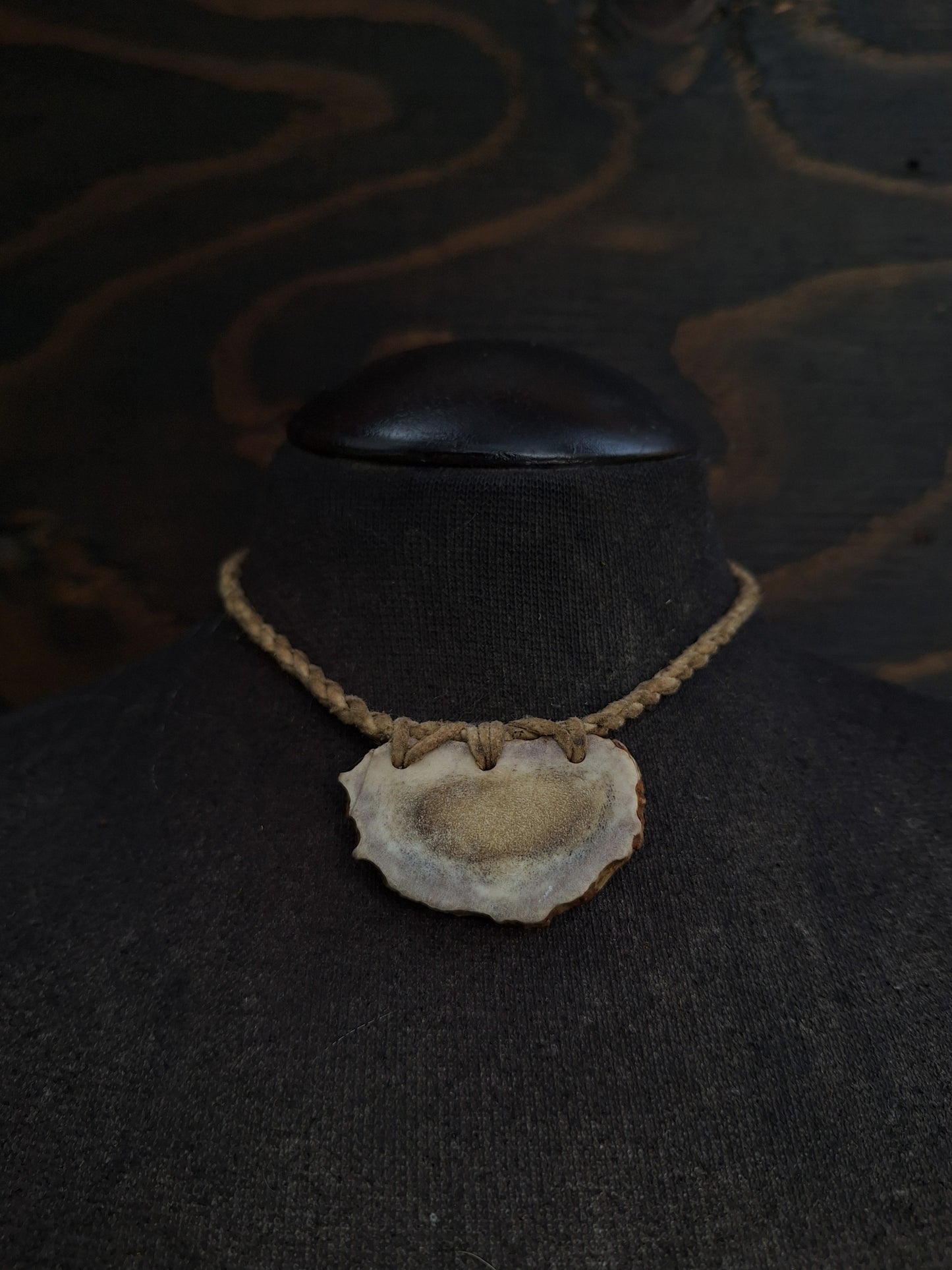 Gift of the sage