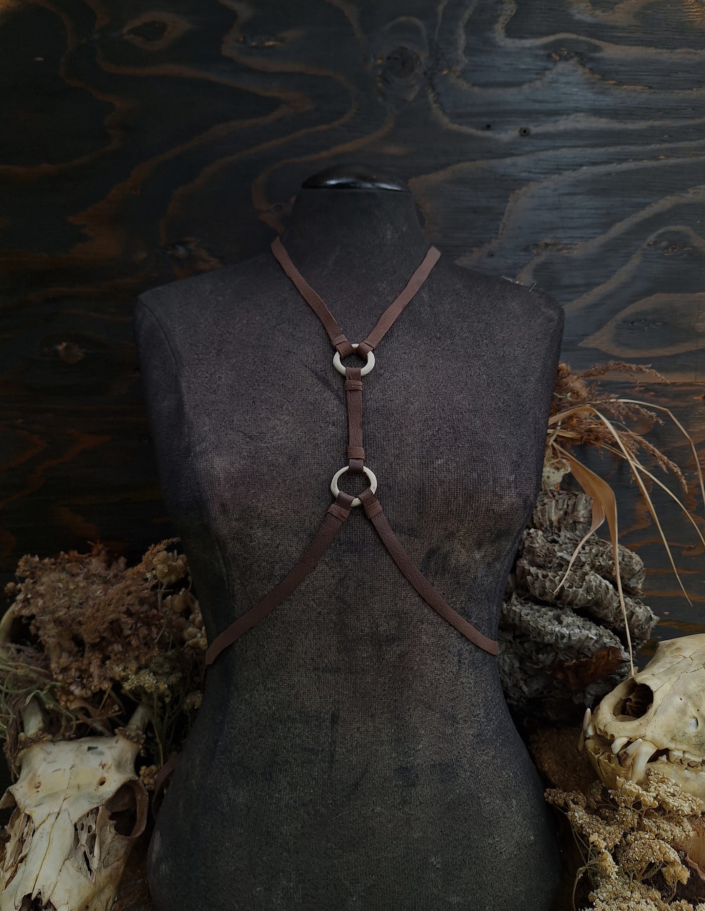 Circle of ashes